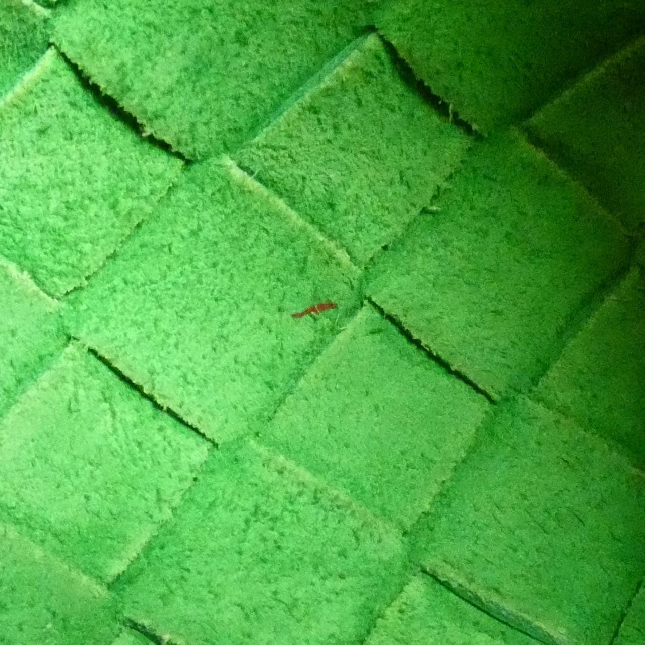 ボッテガヴェネタ 680254 V1G11 ショルダーバッグ