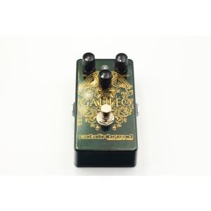 ＣＡＴＡＬＩＮＢＲＥＡＤ　ＧＡＬＩＬＥＯ　ＭＬ２