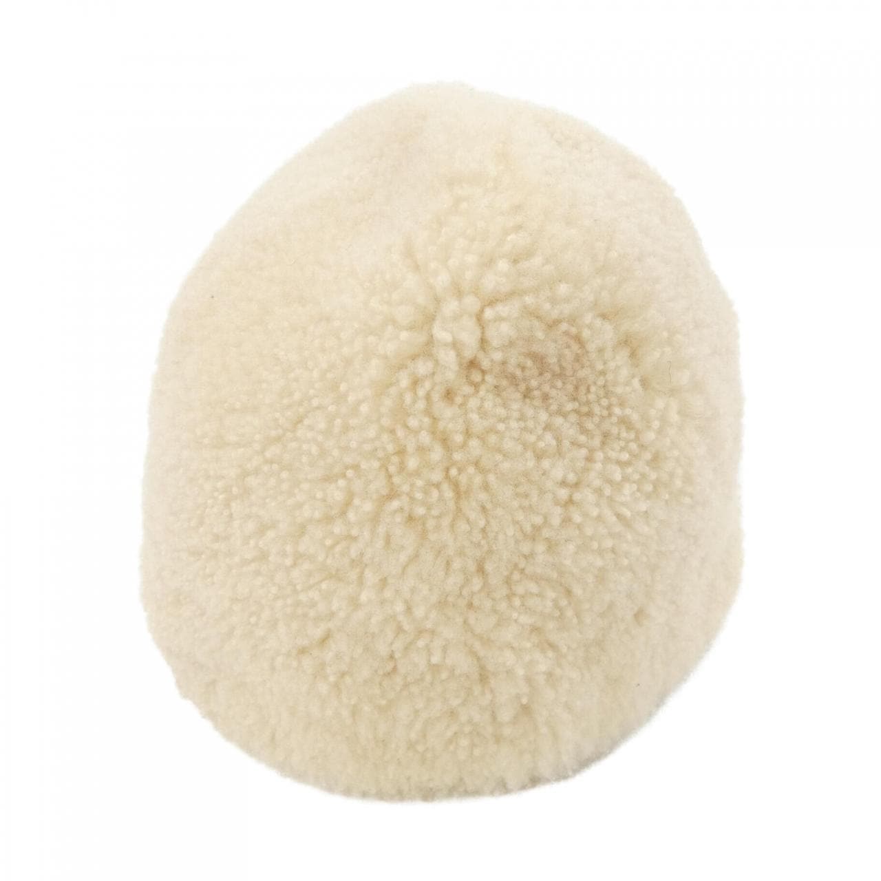 カールドノヒュー KARL DONOGHUE ハット