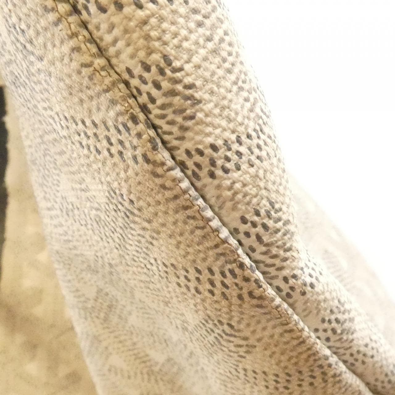 ゴヤール サン ルイ PM AMA LOUIS PM バッグ