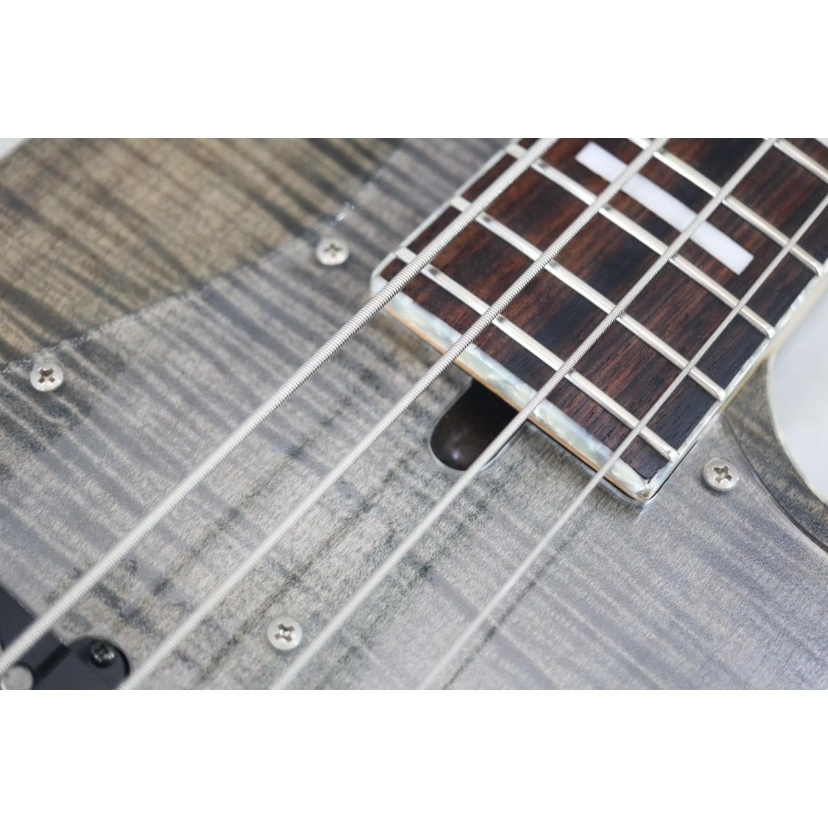 ＢＡＣＣＨＵＳ　　ＷＬ４－ＦＭ　ＣＵＳＴＯＭ／Ｒ