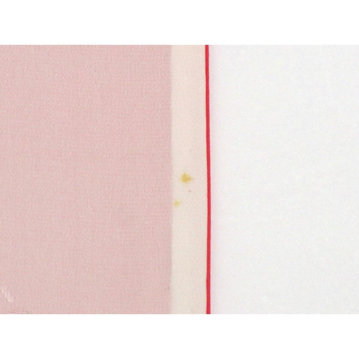 振袖 友禅金彩加工 絞り加工 きもの・長襦袢 2点セット