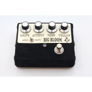 Ａｍｐｌｉｆｉｅｄ　Ｎａｔｉｏｎ　ＢＩＧ　ＢＬＯＯＭ