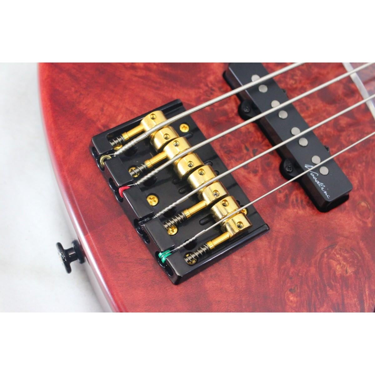 ＢＡＣＣＨＵＳ　　ＷＯＯＤＬＩＮＥ４ＡＣ－２０ＴＨ’１９Ｗ－ＢＭ