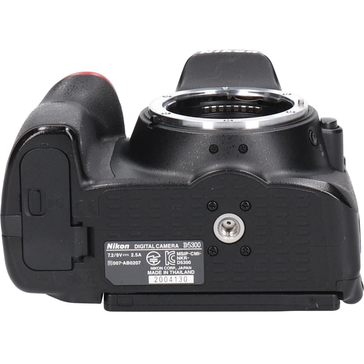 Ｄ５３００