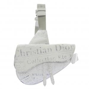ディオール DIOR SADDLE DANIEL ARSHAM BAG