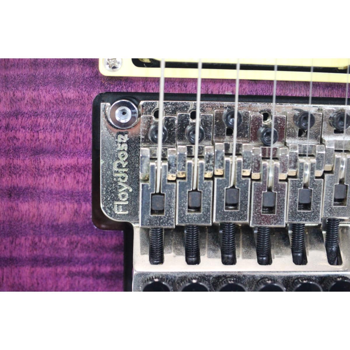 PAUL REED SMITH SE CUSTOM 24 FLOYD