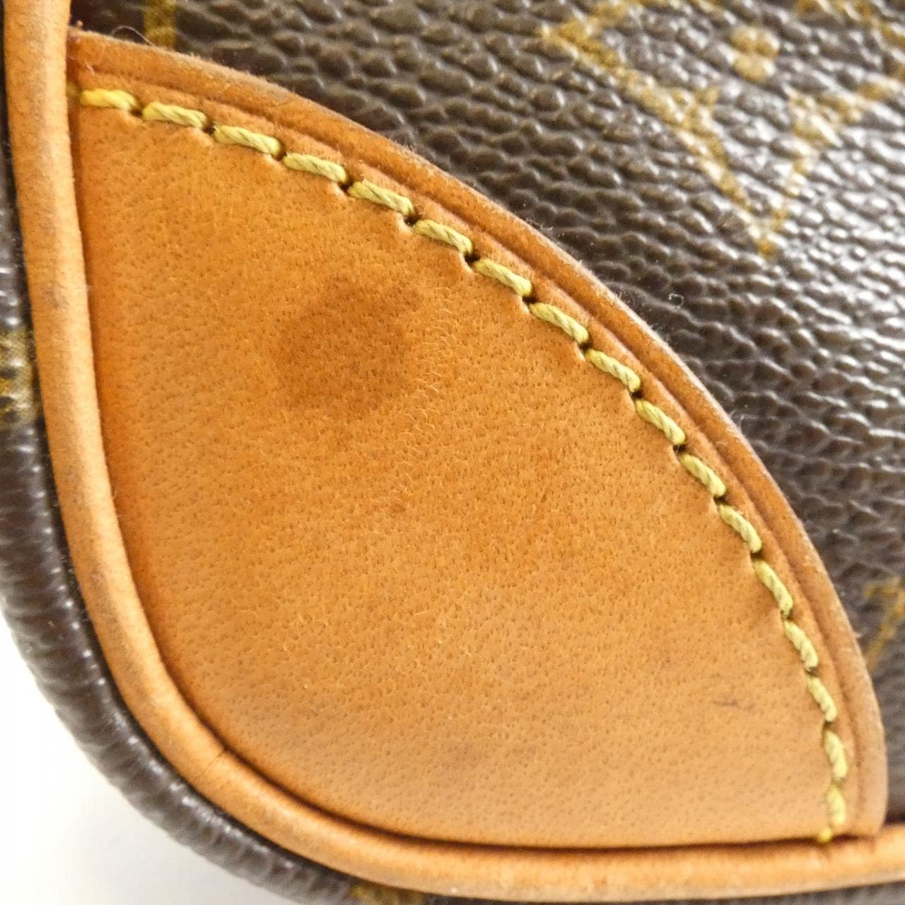 LOUIS VUITTON Monogram Amazon M45236 单肩包
