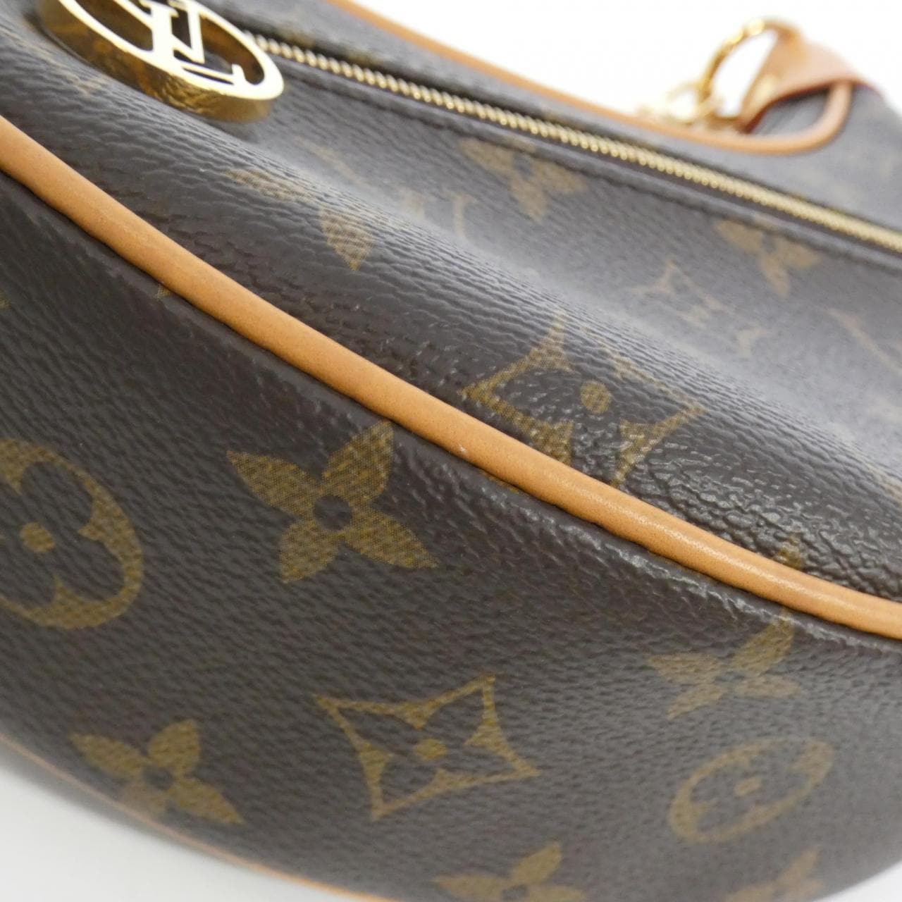 LOUIS VUITTON Monogram Loop M81098 单肩包