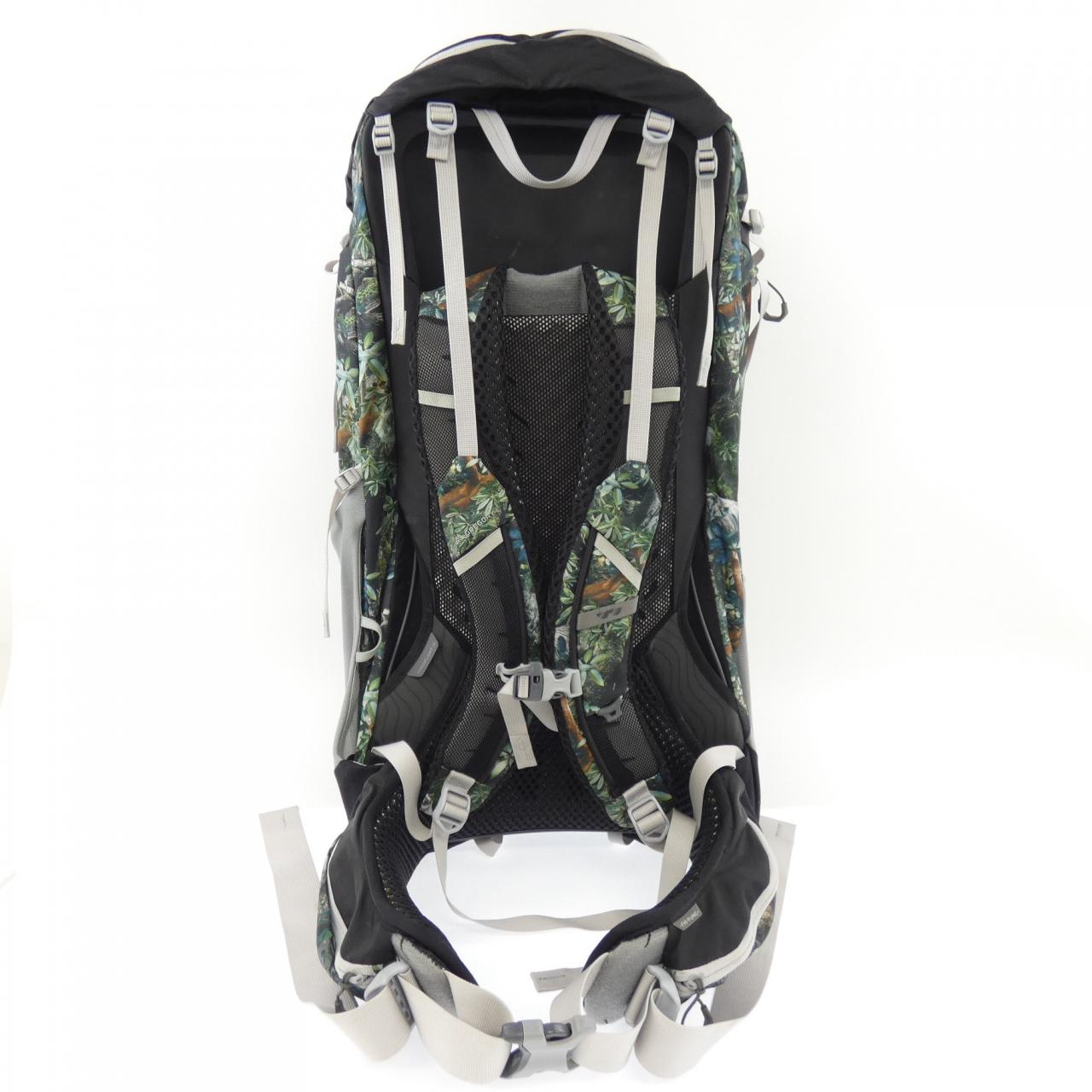 グレゴリー GREGORY PARAGON 126843 C311 BACKPACK