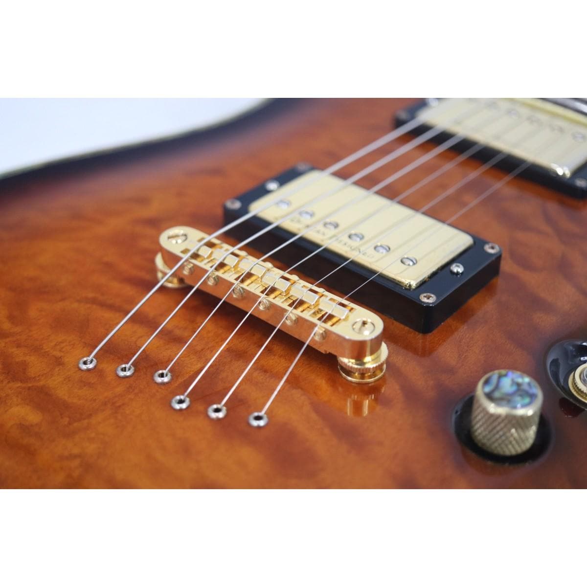 ＳＣＨＥＣＴＥＲ　　ＡＤ－ＰＴ－ＣＵＳＴＯＭ