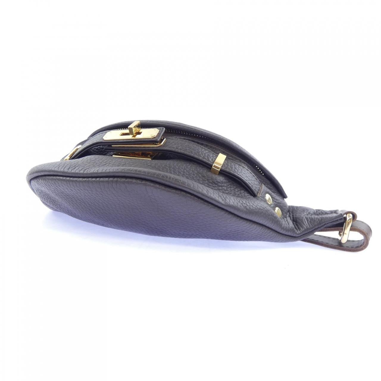 シータパランティカ sita parantica BAG