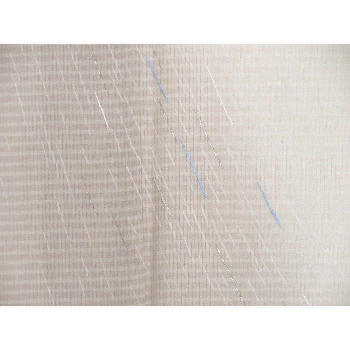 単衣　変わり竪絽訪問着　友禅加工刺繍入り　ボカシ染