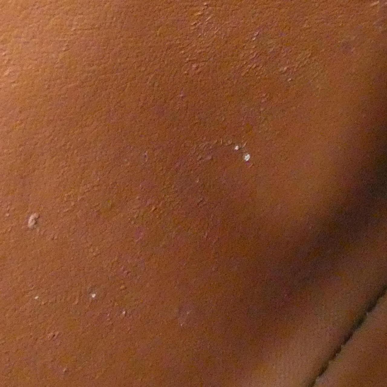 ルイヴィトン モノグラム ジッピー ウォレット M42616 財布