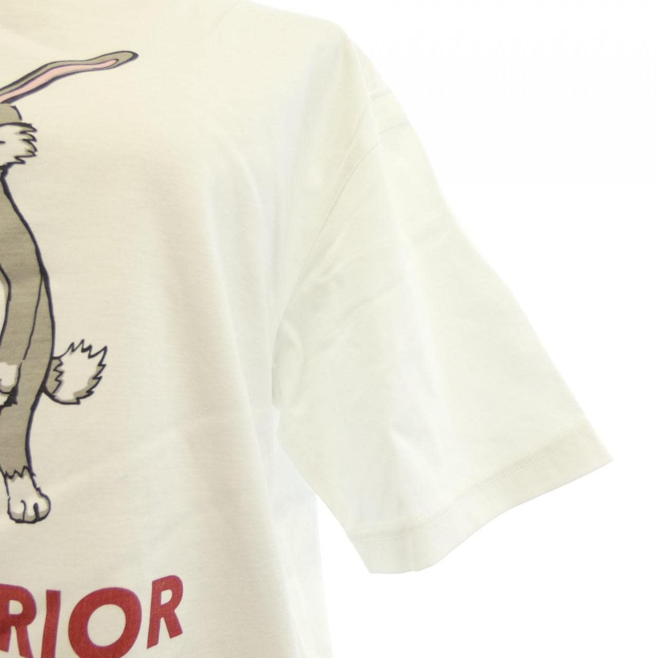 ドレステリア DRESSTERIOR Tシャツ