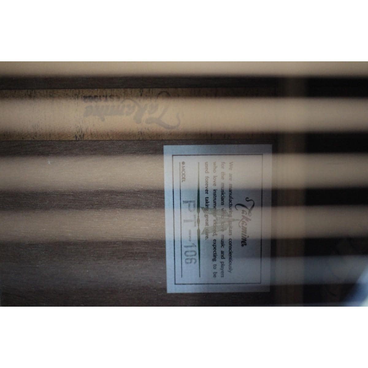 ＴＡＫＡＭＩＮＥ　　ＰＴ－１０６