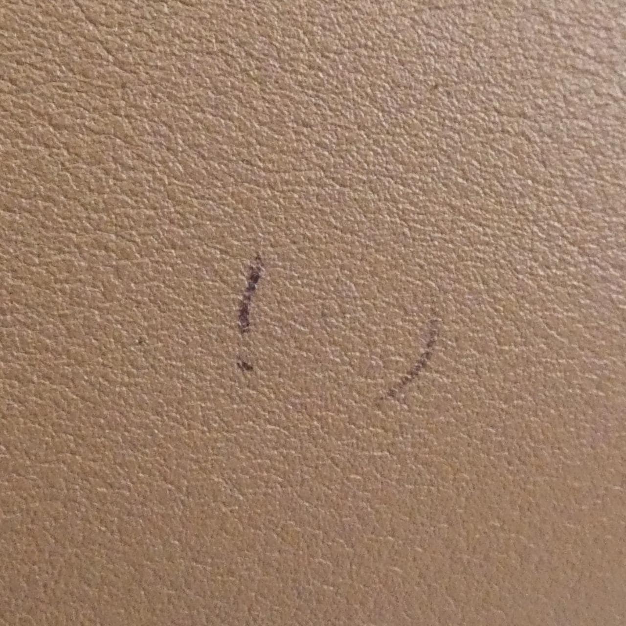 サルヴァトーレフェラガモ THE STUDIO 21 H159 バッグ