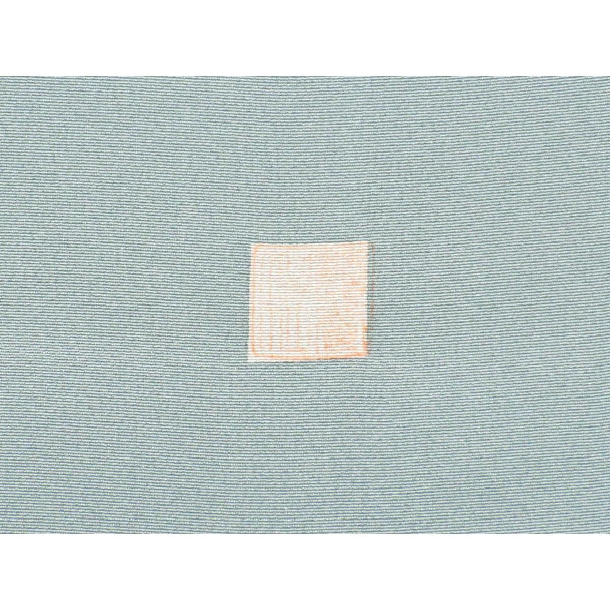 【未使用品】訪問着　友禅加工ボカシ染