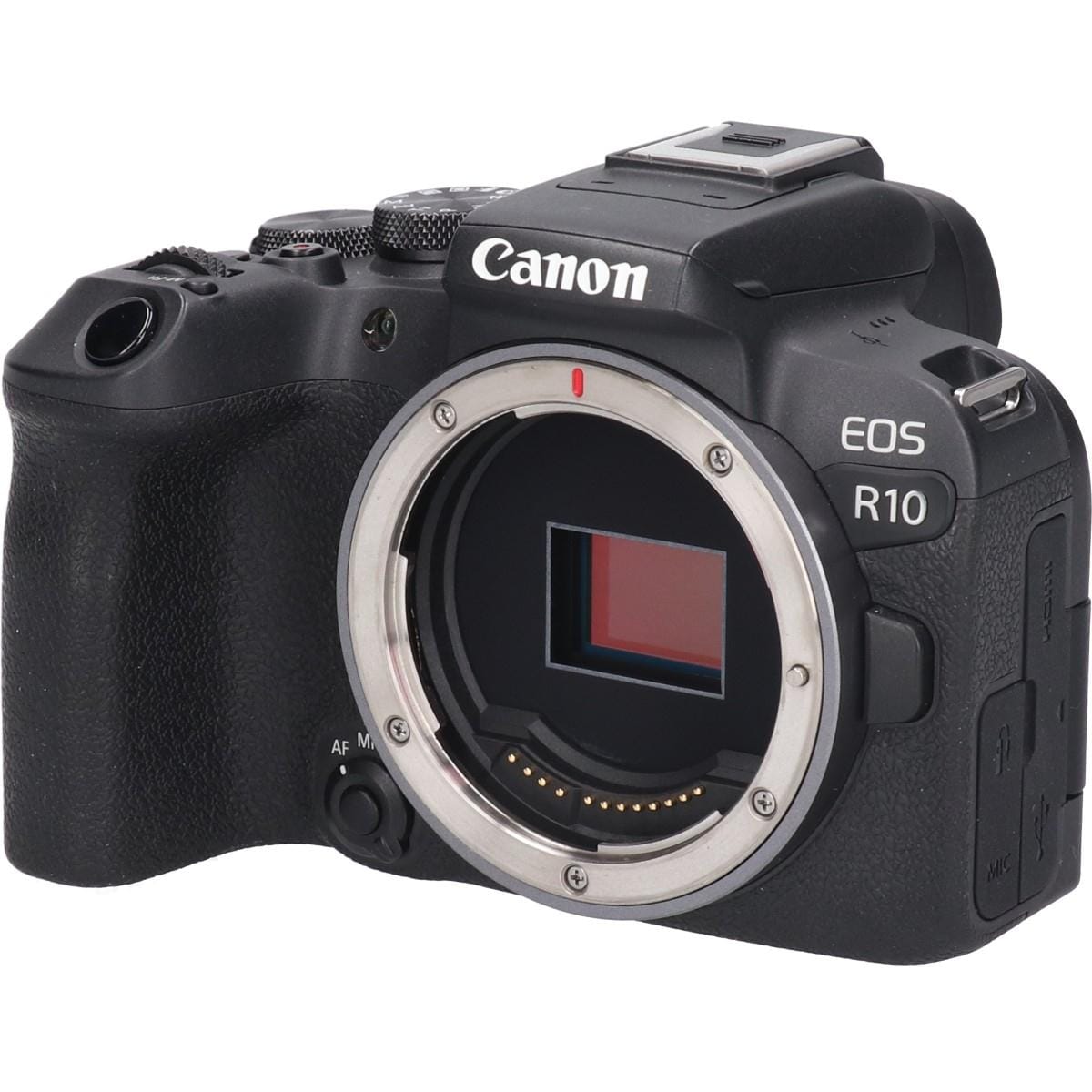 ＥＯＳ　Ｒ１０