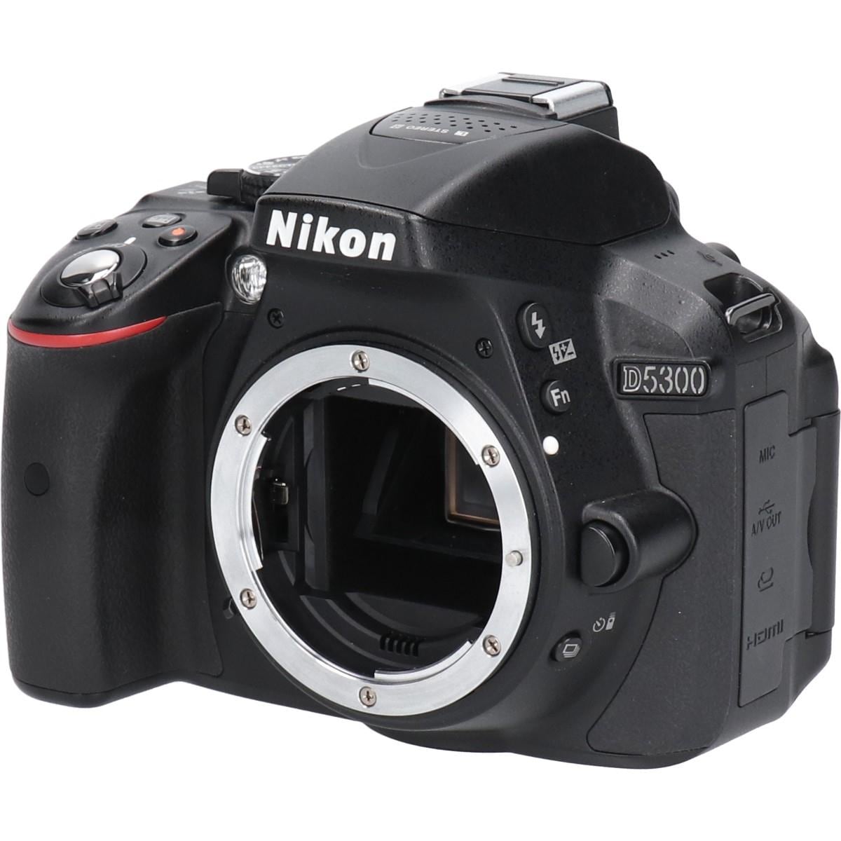 Ｄ５３００