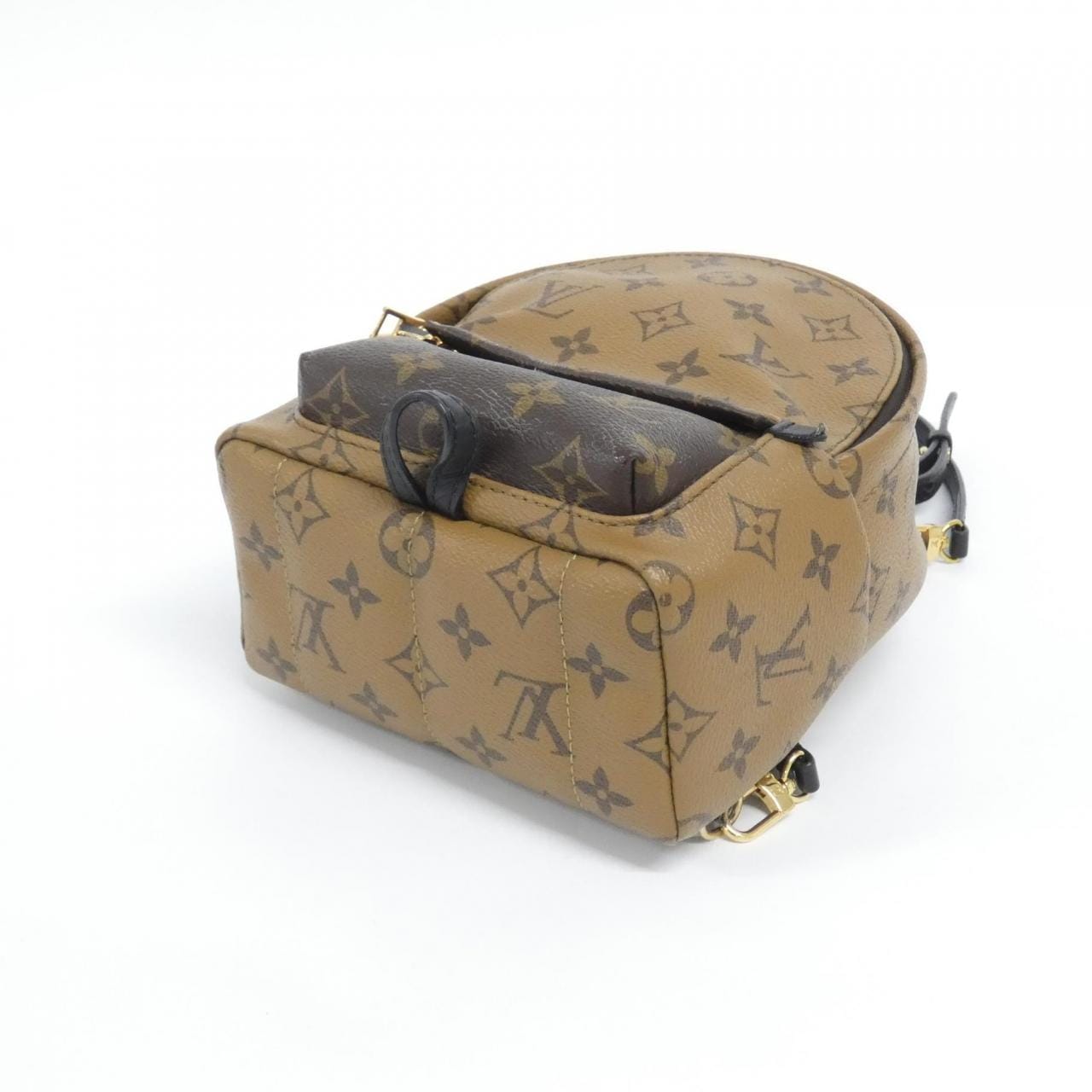 LOUIS VUITTON Monogram Reverse Palm Springs Backpack MINI M44872 Rucksack