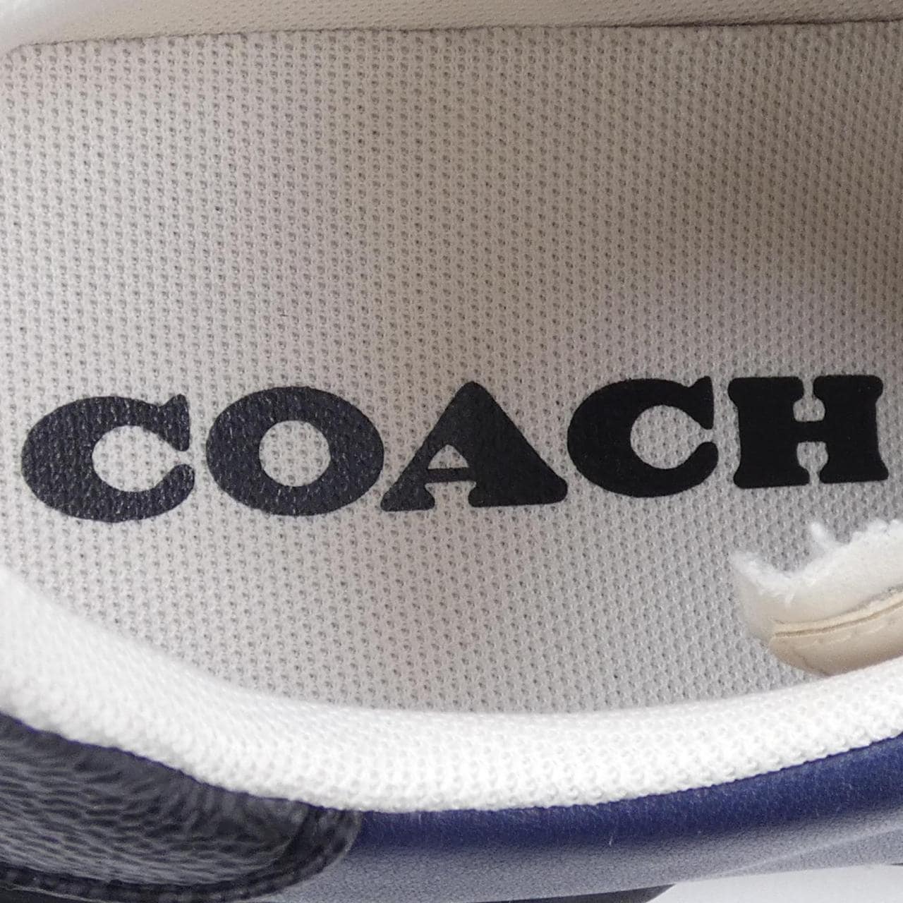 COACH G5328運動鞋