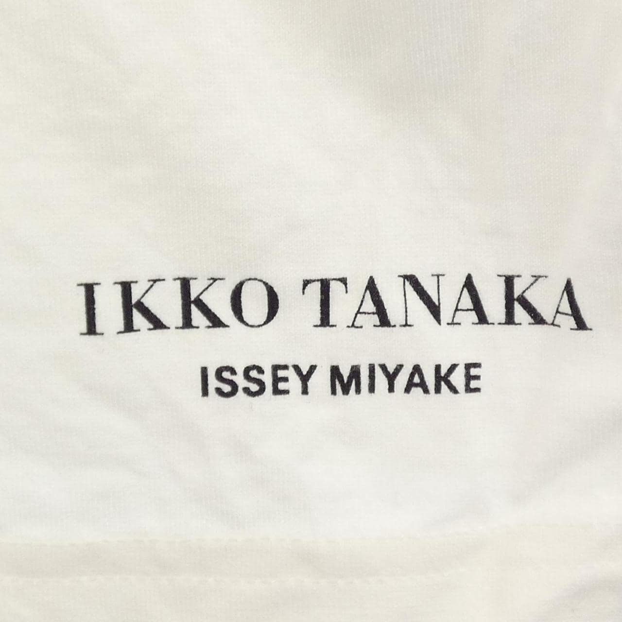 イッセイミヤケ ISSEY MIYAKE RT31JK341 Tシャツ