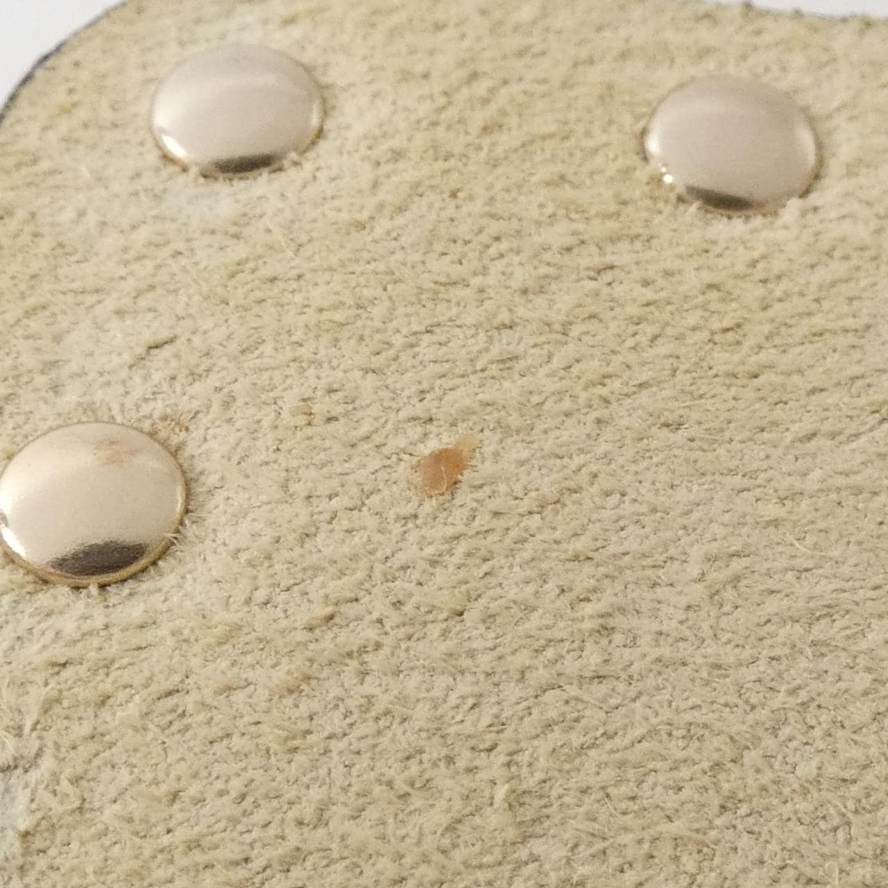 ヴァレンティノガラヴァーニ ショルダーバッグ