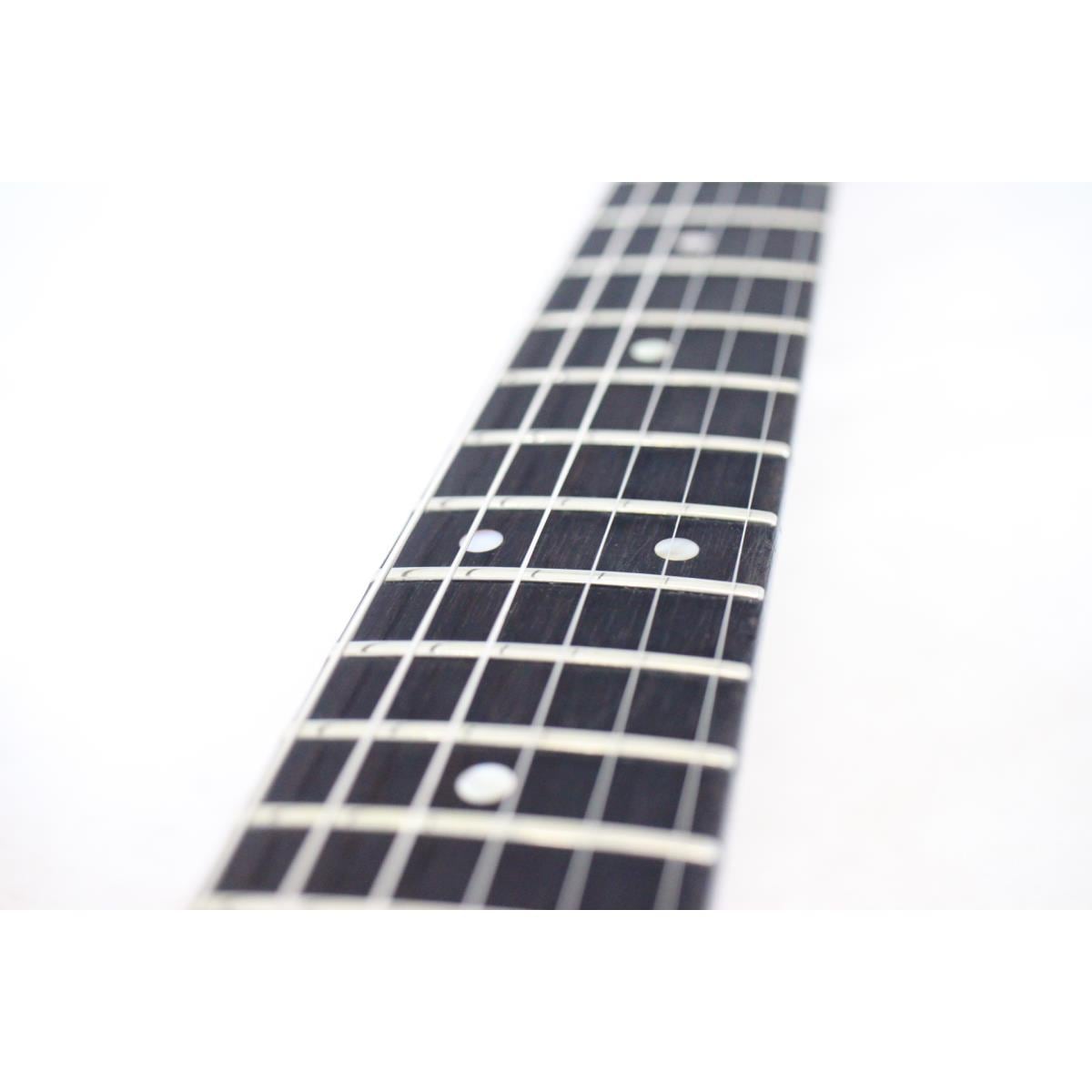 WASHBURN N4(JAPAN)