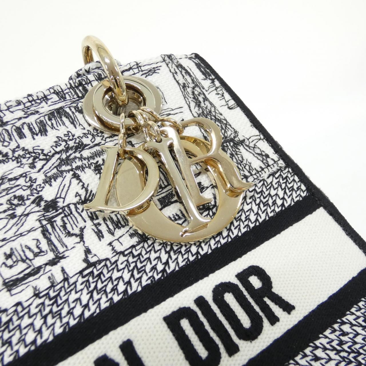 クリスチャンディオール PARIS ALLOVER レディ ディーライト ミディアム M0565OEGI バッグ