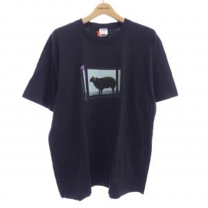 シュプリーム SUPREME Tシャツ