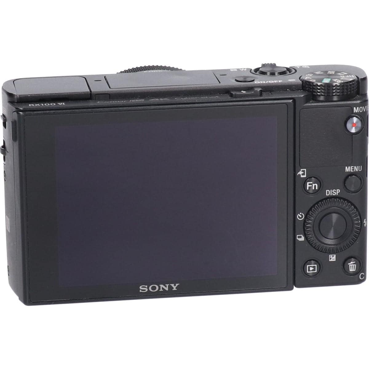 ＤＳＣ－ＲＸ１００Ｍ６