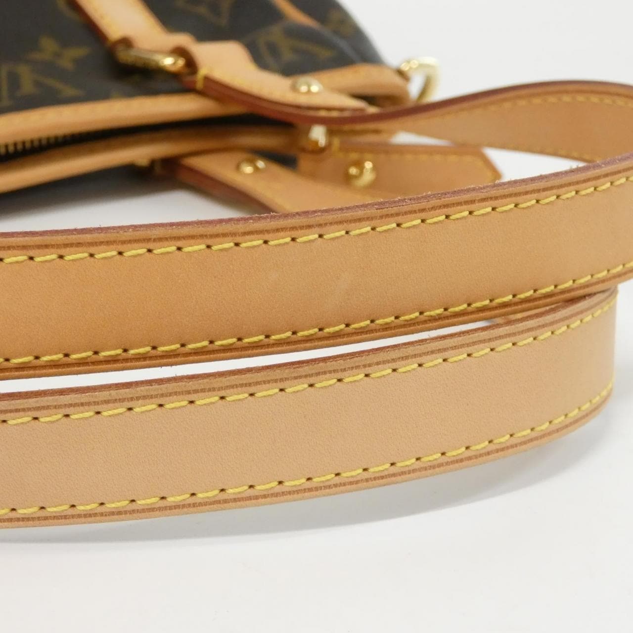 LOUIS VUITTON Monogram Estrella MM M41232+J52314 包