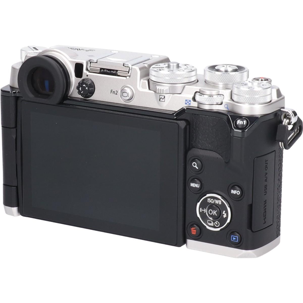 ＰＥＮ－Ｆ　シルバー