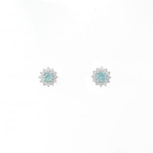 PT900 アパタイト ピアス 0.20CT