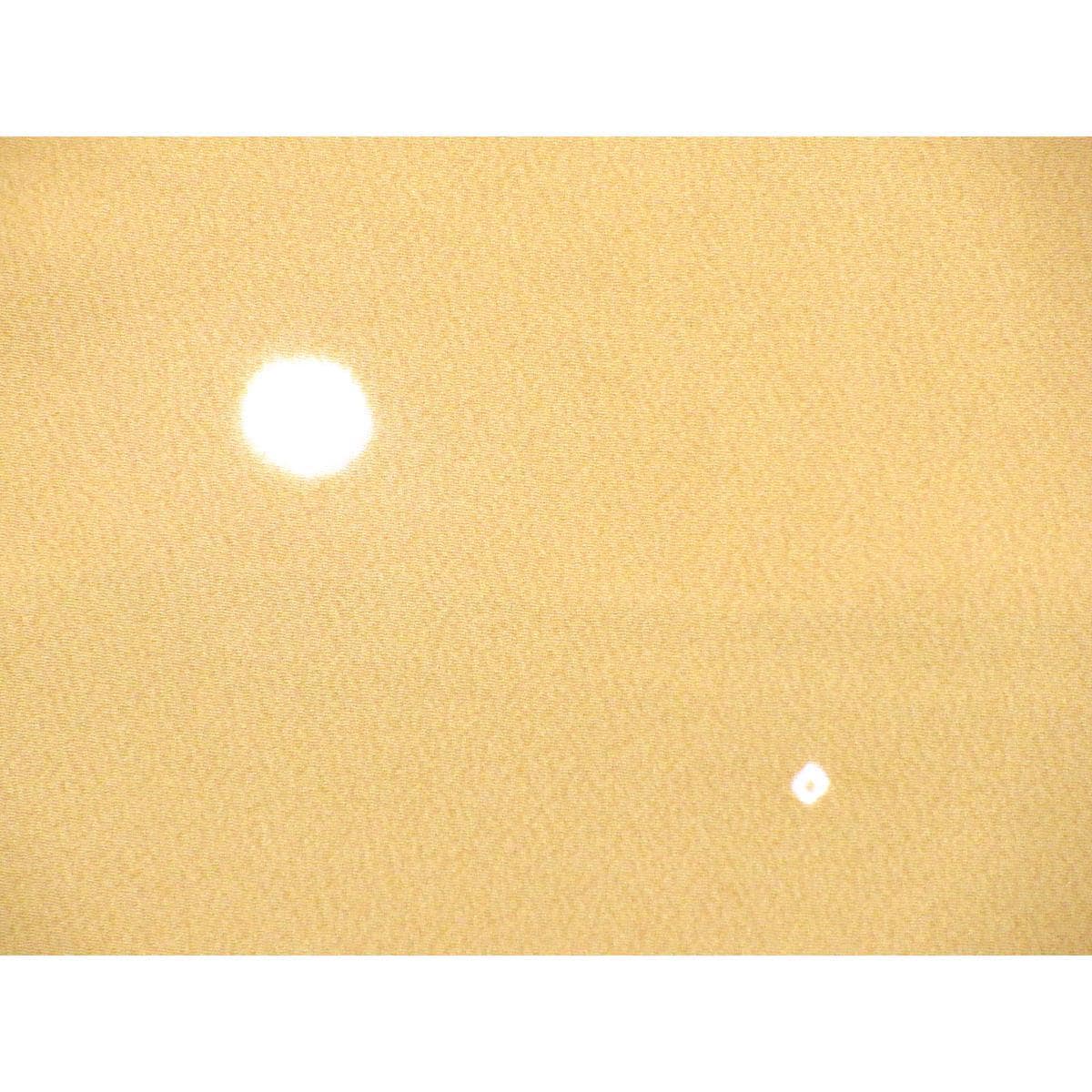 【未使用品】訪問着　友禅加工絞り入　身幅Ｌ寸