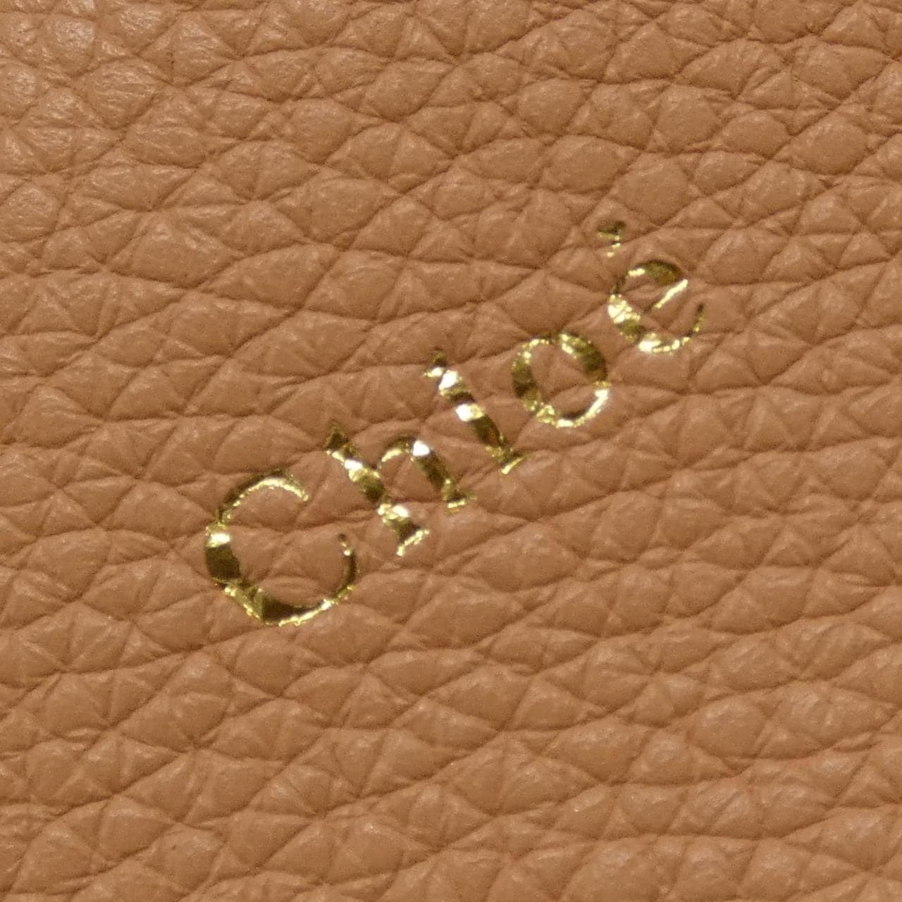 Chloe Dahlia CHC21SP200 C62 Bag