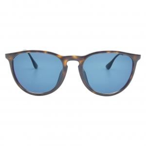 レイバン Ray Ban RB4171F SUNGLASSES