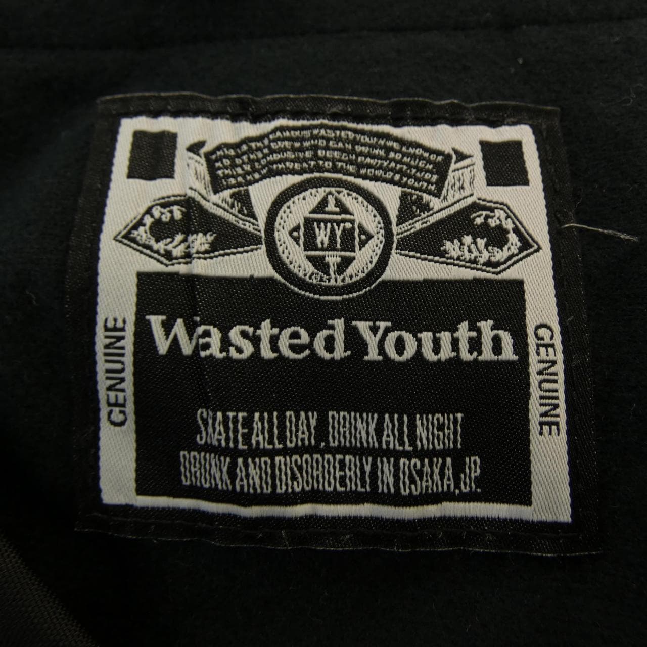 ウェイステッドユース Wasted Youth ジャケット