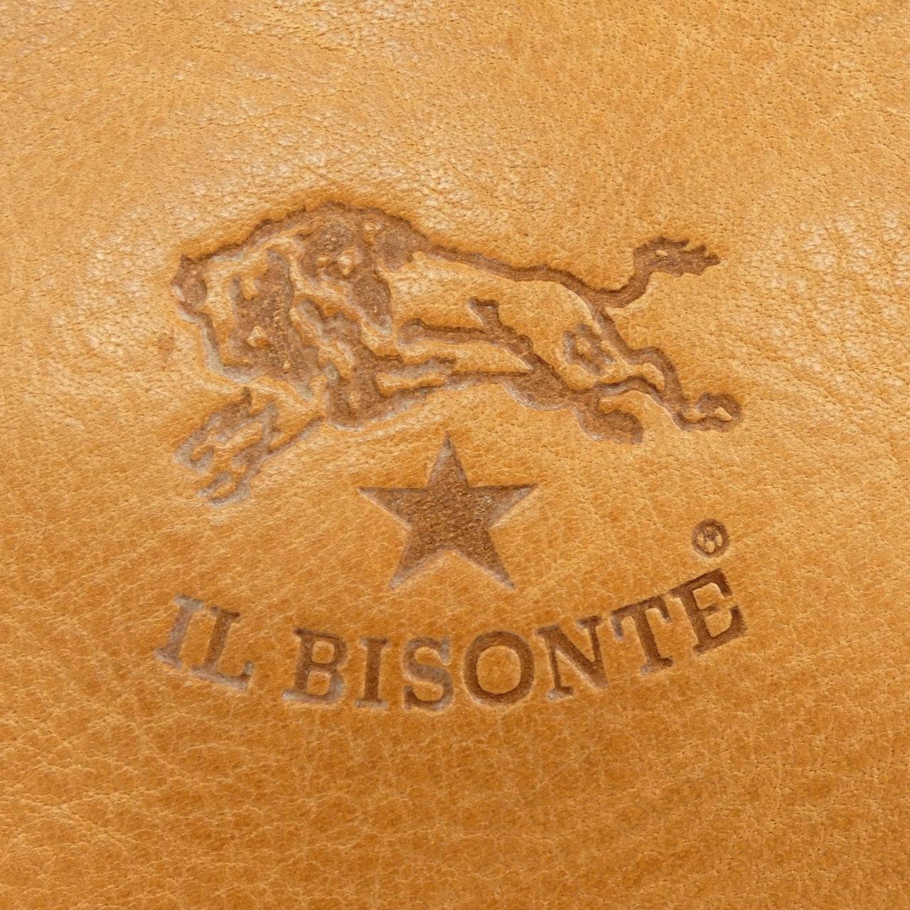イルビゾンテ IL BISONTE BAG