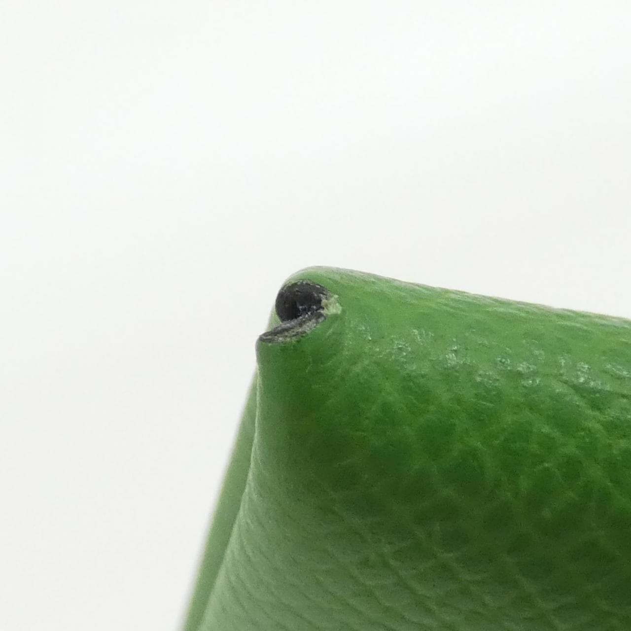 エルメス カルヴィ ヴェルソ 078475CK カードケース