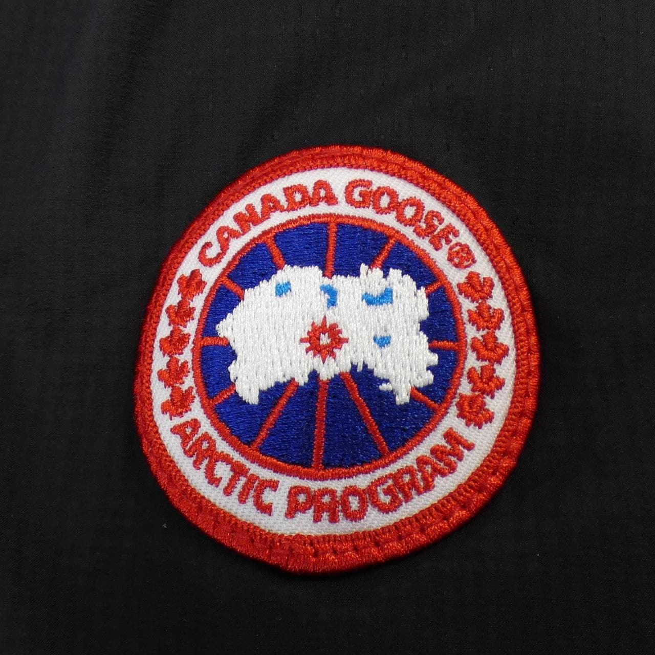 Canada goose CANADA GOOSE down jacket