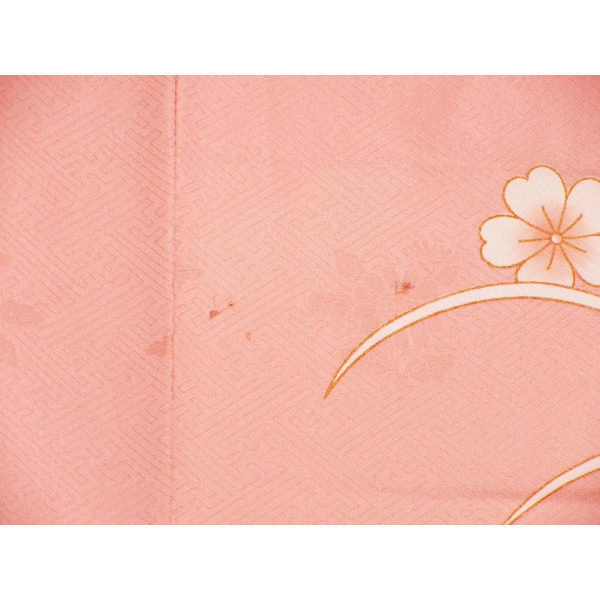 振袖　友禅金彩加工　刺繍入り
