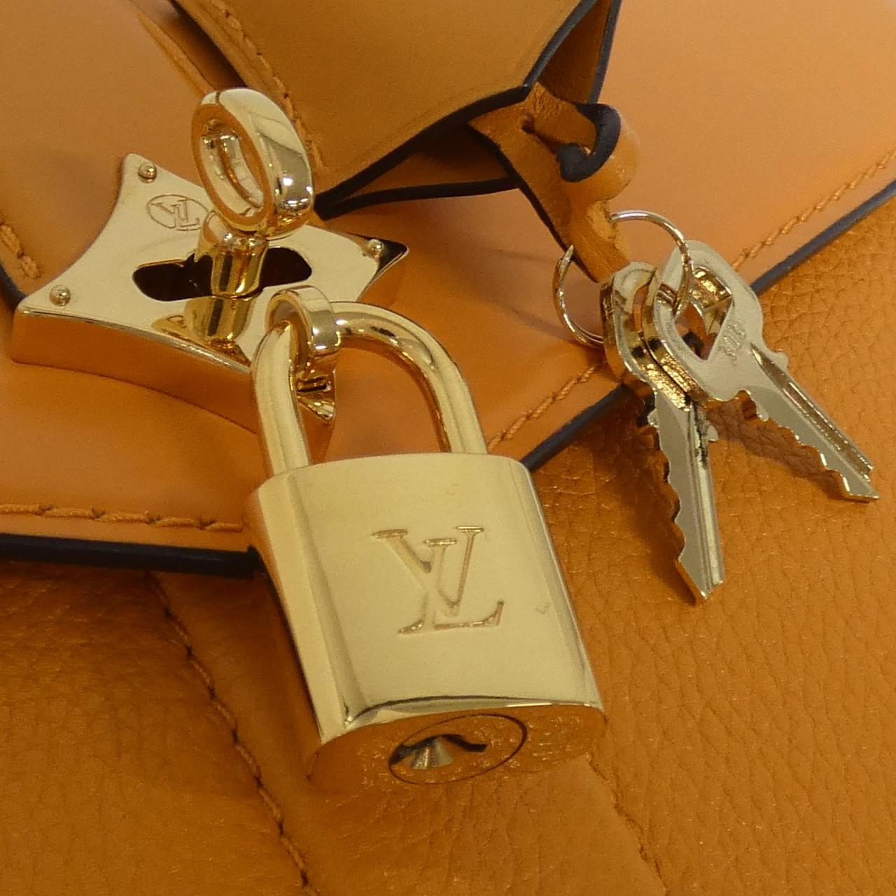 LOUIS VUITTON Rose des Vents M53818 包