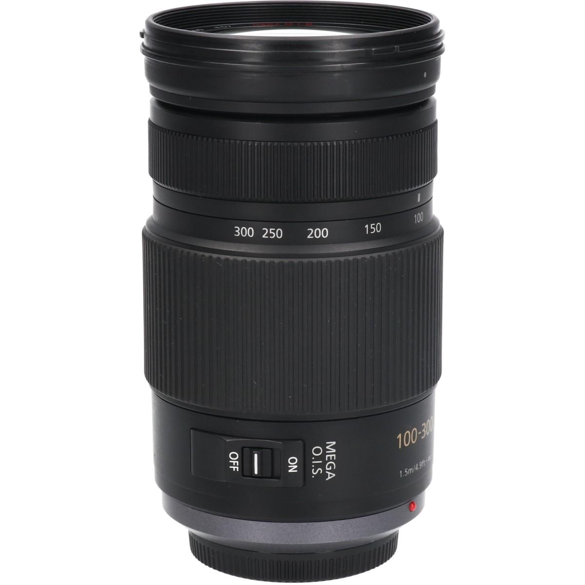 G100-300mm F4-5.6MEG OIS