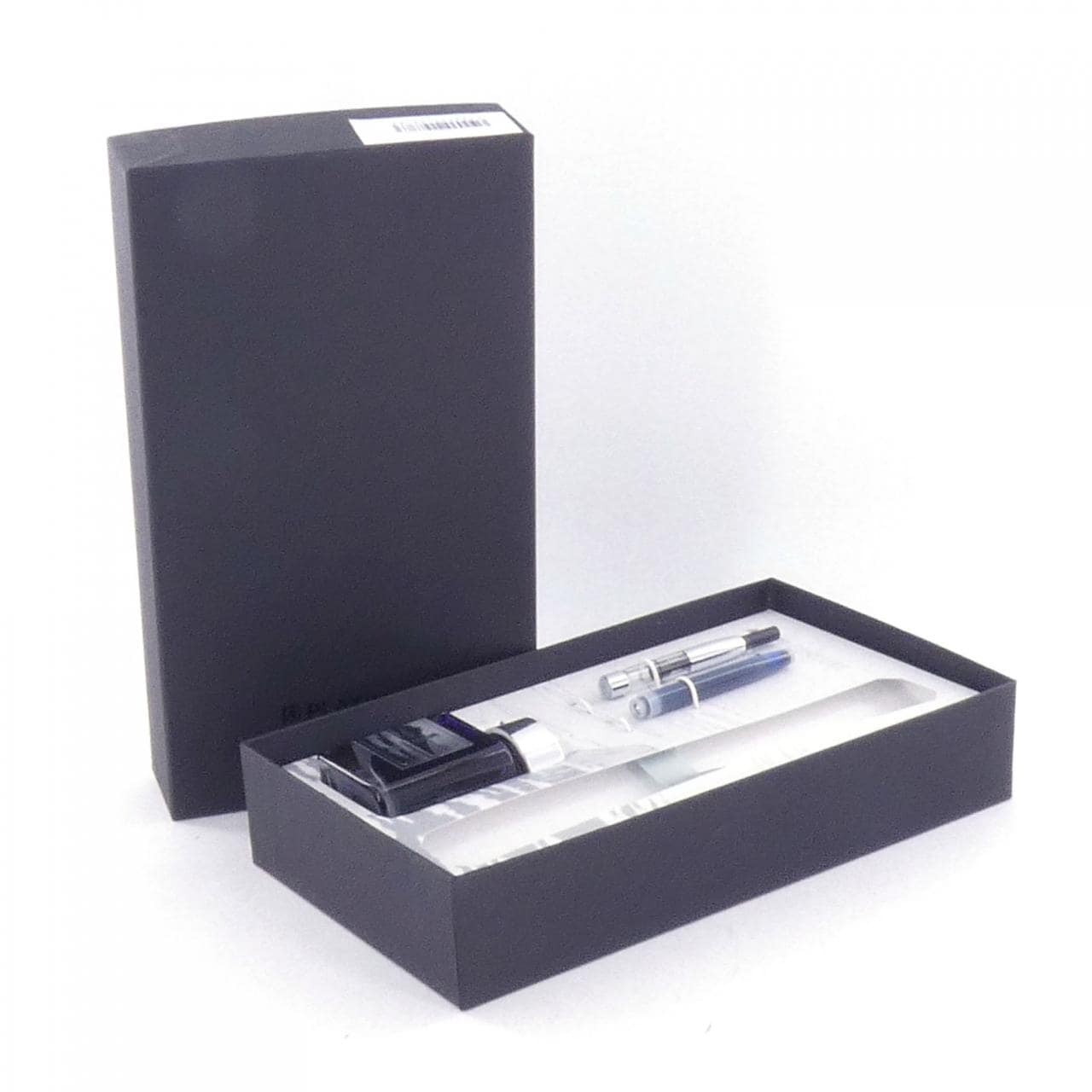 PLATINUM #3776 CENTURY Fuji Cloudscape Haze Fountain Pen