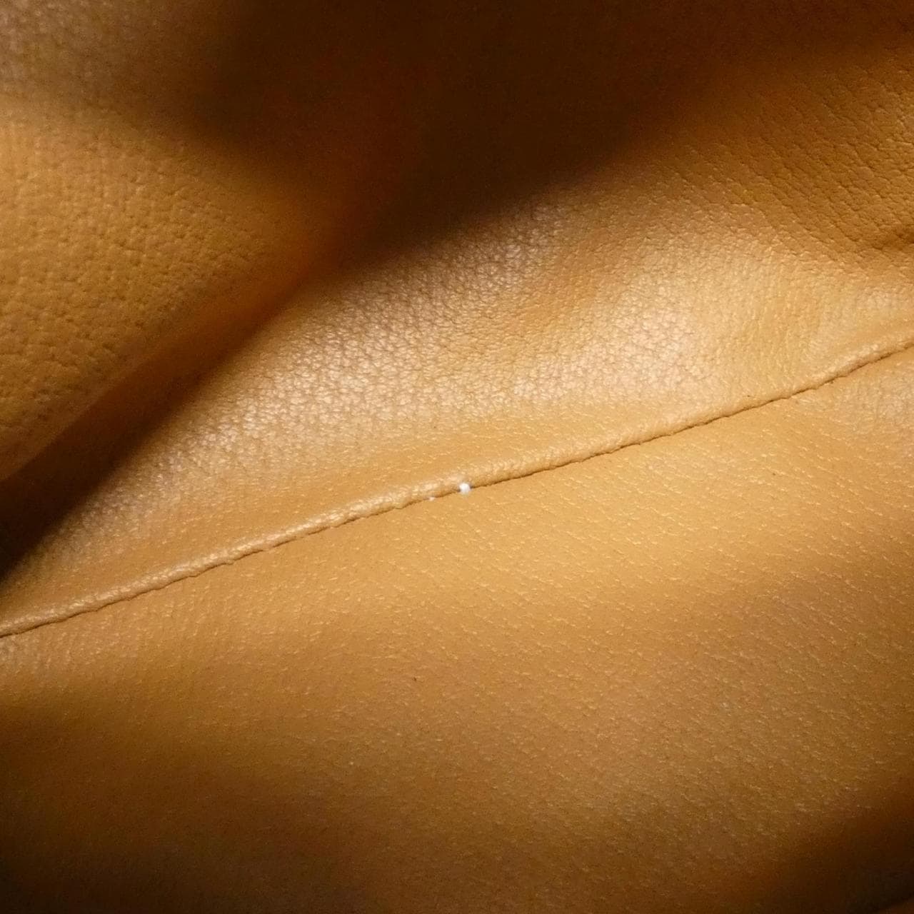 【ヴィンテージ】セリーヌ バッグ