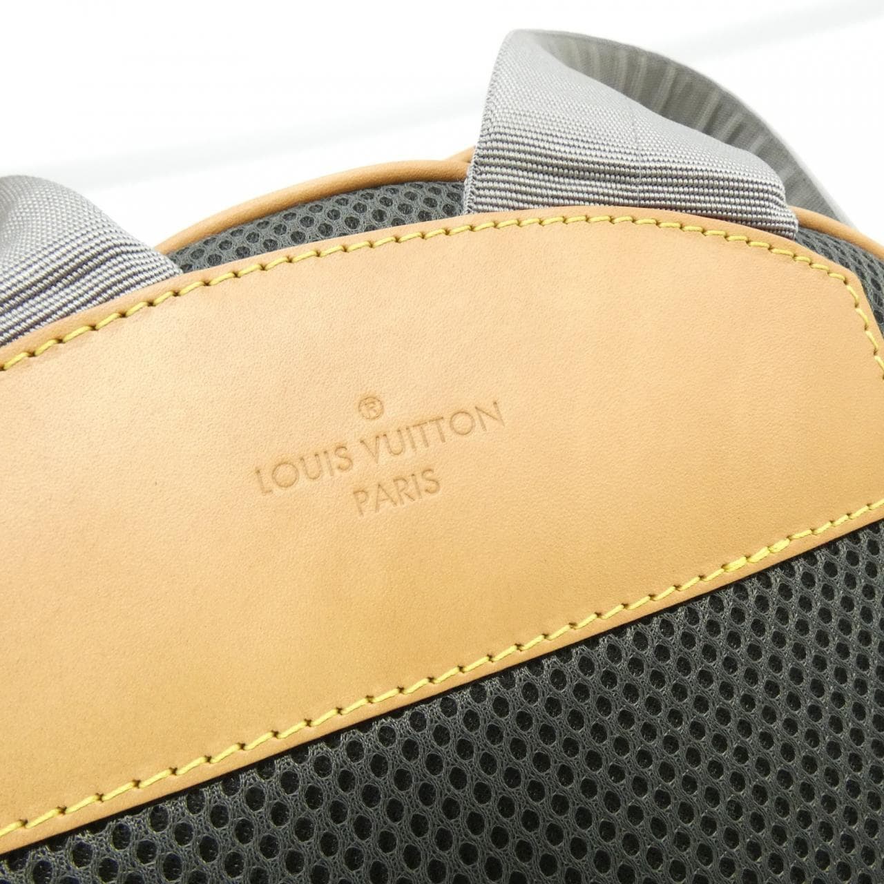 LOUIS VUITTON Monogram Titanium Backpack M43882 Rucksack