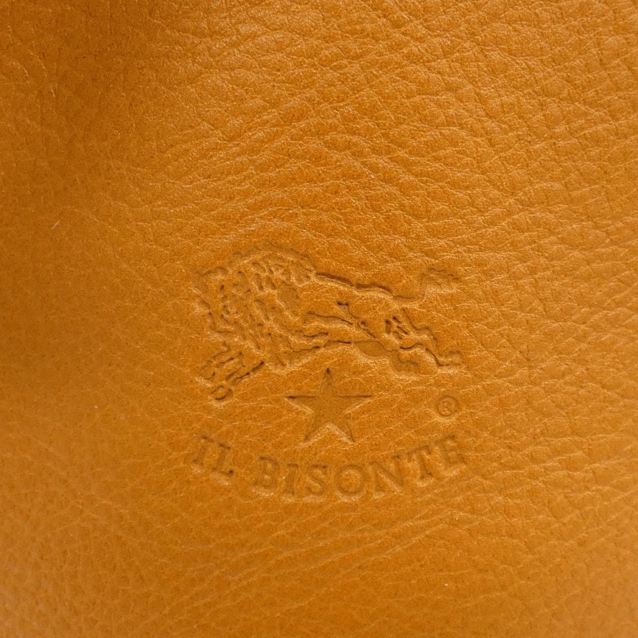 イルビゾンテ IL BISONTE BAG