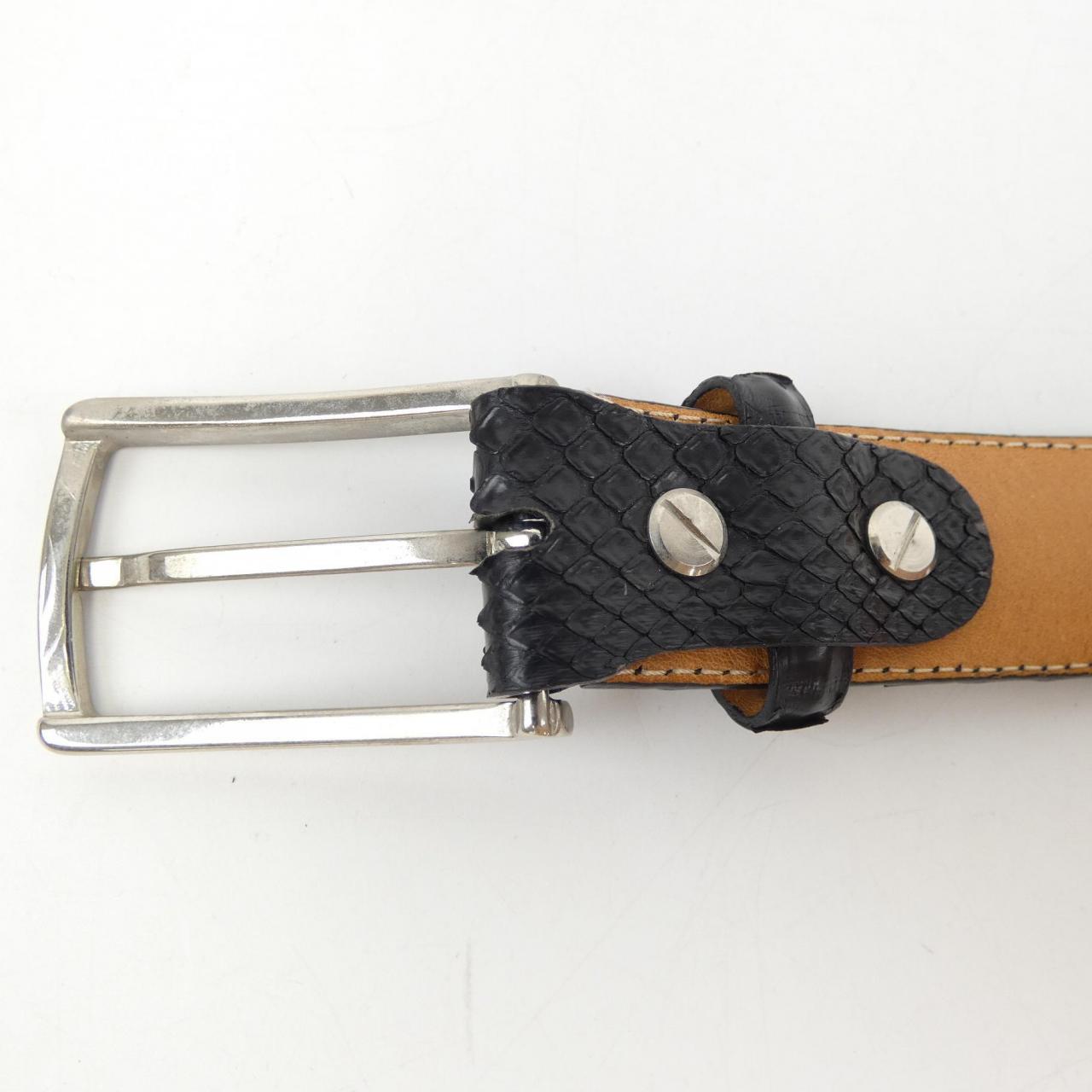 Reptiles House BELT